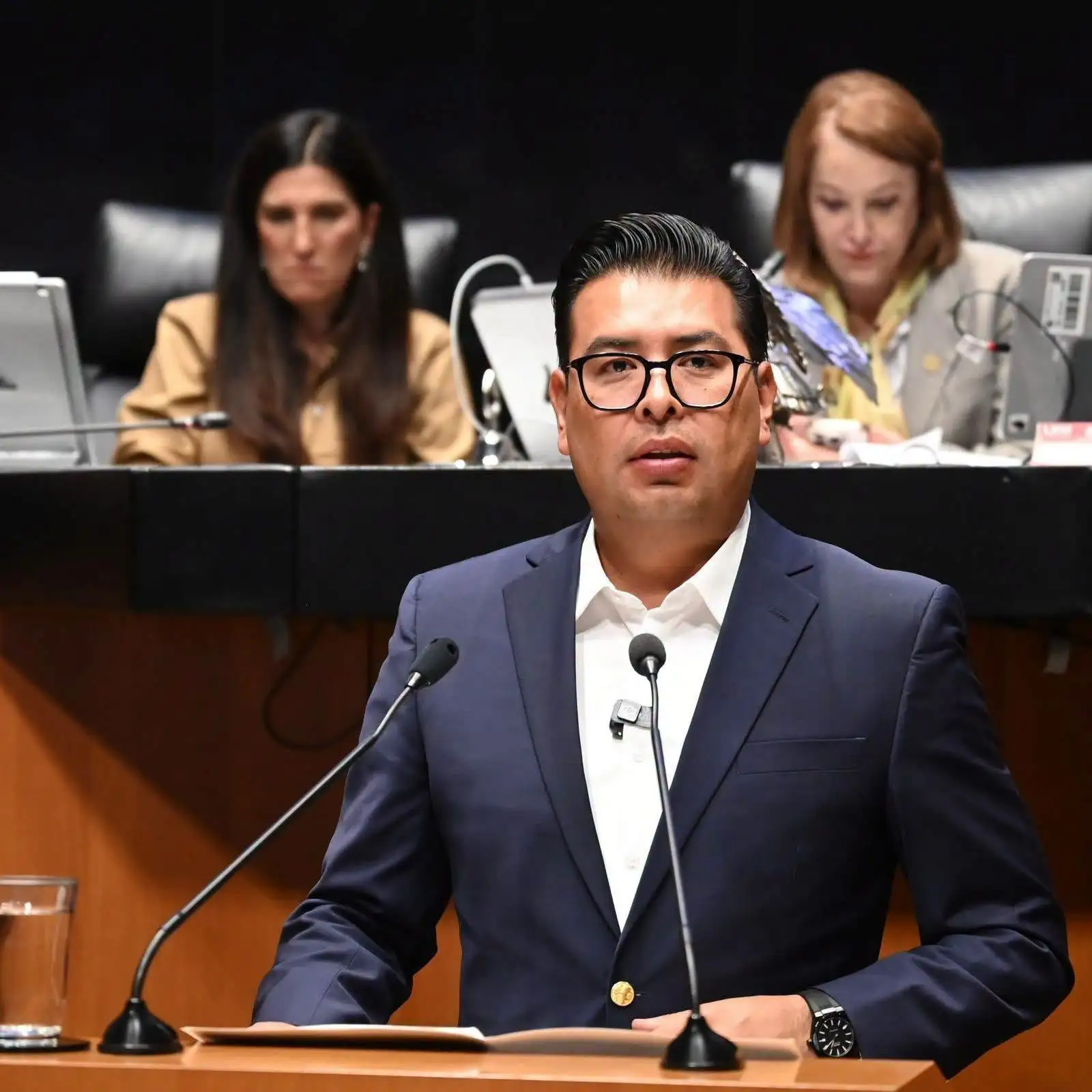 Néstor Camarillo Medina